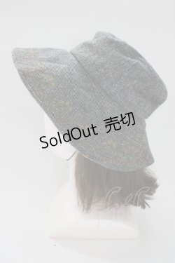 画像2: ANNA SUI / ハット  グレー T-26-01-28-019-PU-AC-SA-ZT
