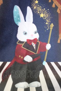 画像5: axes femme kawaii / ドールズサーカスワンピース  ボルドー T-26-02-20-024-AX-OP-SA-ZT