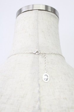 画像5: axes femme POETIQUE / アイスラビットネックレス  シルバー T-26-02-24-029-AX-AC-SA-ZT