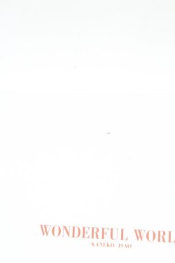 画像6: WONDERFUL WORLD / 金魚ネックレス  赤 T-26-02-24-034-LO-AC-SA-ZT