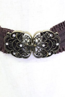 画像2: axes femme / 蝶モチーフベルト  ブラウンＸゴールド T-26-02-24-063-AX-ZA-SA-ZT