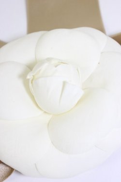 画像3: INGEBORG / カメリアリボンコサージュ  白Ｘブラウン T-26-02-28-030-LO-ZA-SA-ZT