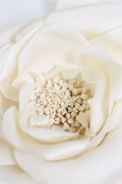 画像4: PINK HOUSE / フラワーリボンコサージュ  白 T-26-02-28-032-LO-AC-SA-ZT