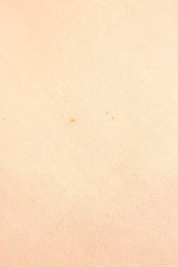 画像6: PINK HOUSE / タッセル縁大判ストール  ピンク T-26-02-28-052-LO-ZA-SA-ZT