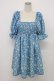 画像1: Candy Stripper / TINY DAISY PUFF SLEEVE DRESS 2 青Ｘ白 T-26-03-06-042-PU-OP-SA-ZT (1)
