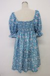 画像2: Candy Stripper / TINY DAISY PUFF SLEEVE DRESS 2 青Ｘ白 T-26-03-06-042-PU-OP-SA-ZT637 (2)