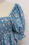 画像3: Candy Stripper / TINY DAISY PUFF SLEEVE DRESS 2 青Ｘ白 T-26-03-06-042-PU-OP-SA-ZT637 (3)