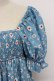 画像3: Candy Stripper / TINY DAISY PUFF SLEEVE DRESS 2 青Ｘ白 T-26-03-06-042-PU-OP-SA-ZT (3)