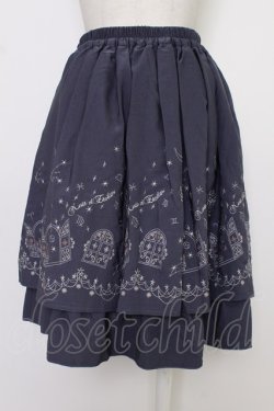 画像2: axes femme / 夜空刺繍スカート  紺Ｘシルバー T-26-03-08-042-AX-SK-SA-ZT
