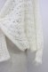 画像3: Secret Honey / リボンデザインレースニットボレロ  アイボリー T-26-03-11-002-CA-TO-SA-ZT (3)