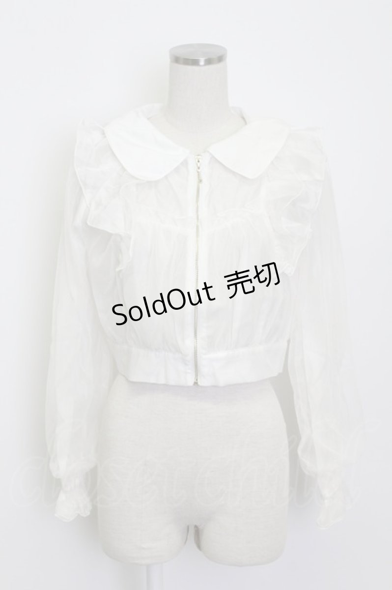 画像1: axes femme POETIQUE / シアー×チュールブルゾン M キナリ T-26-03-13-001-AX-TO-SA-ZT (1)