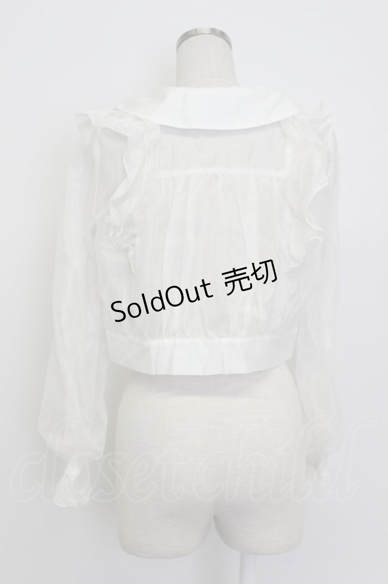 画像2: axes femme POETIQUE / シアー×チュールブルゾン M キナリ T-26-03-13-001-AX-TO-SA-ZT (2)