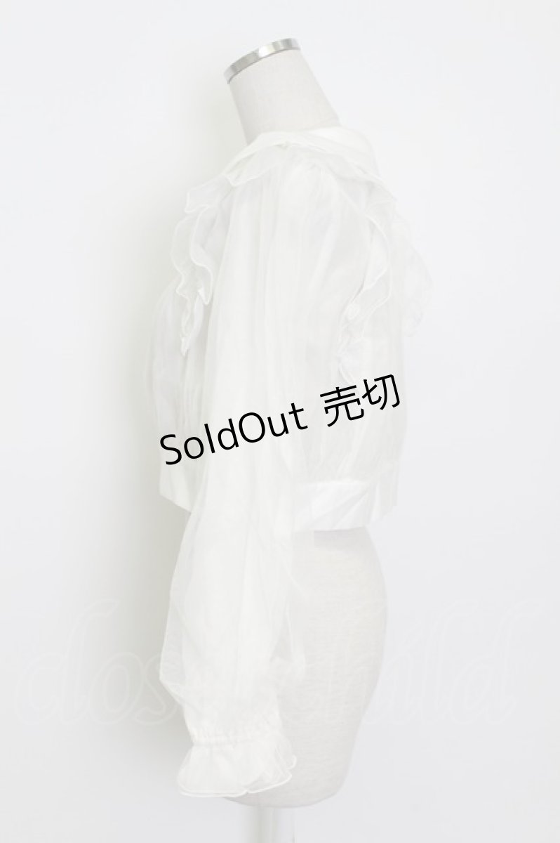 画像3: axes femme POETIQUE / シアー×チュールブルゾン M キナリ T-26-03-13-001-AX-TO-SA-ZT (3)