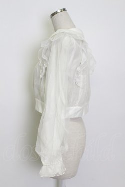 画像3: axes femme POETIQUE / シアー×チュールブルゾン M キナリ T-26-03-13-001-AX-TO-SA-ZT