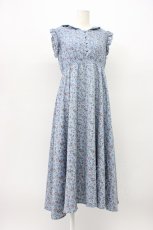 画像1: evelyn / フラワーノースリーブワンピース  ブルーグレー T-26-03-13-009-LO-OP-SA-ZT645 (1)