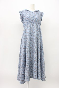 画像1: evelyn / フラワーノースリーブワンピース  ブルーグレー T-26-03-13-009-LO-OP-SA-ZT