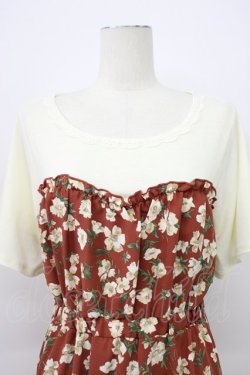 画像5: axes femme / ビスチェ切替ドッキングワンピース  ブラウンＸ白 T-26-03-13-014-AX-OP-SA-ZT