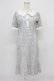 画像1: evelyn / パール襟レースワンピース  グレー T-26-03-16-029-LO-OP-SA-ZT (1)