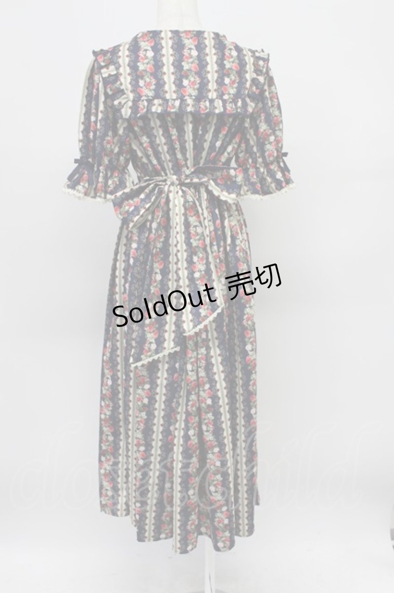 画像2: axes femme kawaii / ローズベリーガーデンワンピース M ネイビー T-26-03-16-031-AX-OP-SA-ZH (2)