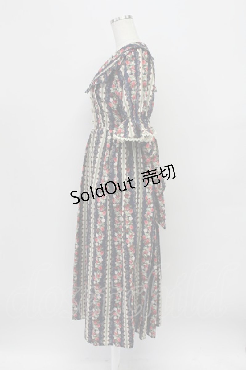 画像6: axes femme kawaii / ローズベリーガーデンワンピース M ネイビー T-26-03-16-031-AX-OP-SA-ZH (6)