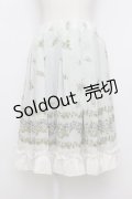 axes femme / 薔薇プリントシフォンスカート  ミント T-26-03-23-032-AX-SK-SZ-ZT