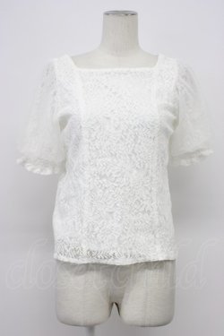 画像1: axes femme / チュール袖総レーストップス  ホワイト T-26-03-30-021-AX-TO-SA-ZT