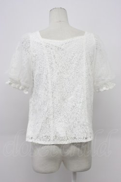 画像2: axes femme / チュール袖総レーストップス  ホワイト T-26-03-30-021-AX-TO-SA-ZT