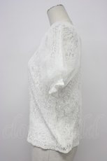画像3: axes femme / チュール袖総レーストップス  ホワイト T-26-03-30-021-AX-TO-SA-ZT659 (3)