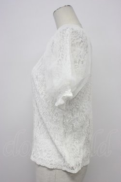 画像3: axes femme / チュール袖総レーストップス  ホワイト T-26-03-30-021-AX-TO-SA-ZT