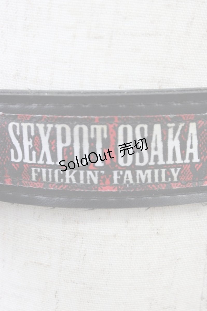 画像5: SEX POT ReVeNGe / チェーン付きスタッズベルト  黒ｘシルバー T-26-04-04-027-SP-ZA-SA-ZT651 (5)