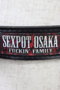 画像5: SEX POT ReVeNGe / チェーン付きスタッズベルト  黒ｘシルバー T-26-04-04-027-SP-ZA-SA-ZT