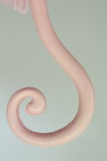 画像8: BABY,THE STARS SHINE BRIGHT / BABY Rococoアンブレラ  ピンク T-26-04-30-008-BA-ZA-SZ-ZT (8)