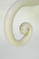 画像7: BABY,THE STARS SHINE BRIGHT / BABY Rococoアンブレラ  アイボリー T-26-04-30-001-BA-ZA-SZ-ZT (7)