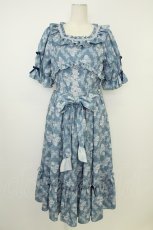 画像1: axes femme kawaii / クラシックローズワンピース M ブルー T-26-05-13-034-AX-OP-OW-ZT (1)