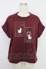 画像1: axes femme / トップス   T-26-06-19-010-AX-TS-SA-ZT (1)