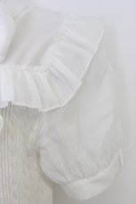 画像3: evelyn / ニット切替ボウタイリボントップス  白 T-26-06-19-002-LO-TO-SA-ZT (3)