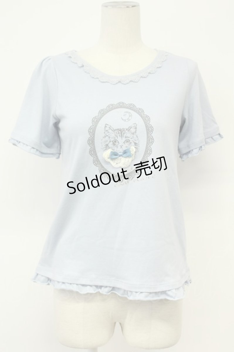 画像1: axes femme / CATカメオプリント半袖カットソー  サックスＸグレー T-26-08-31-013-AX-TO-SA-ZT (1)