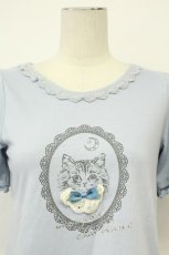 画像4: axes femme / CATカメオプリント半袖カットソー  サックスＸグレー T-26-08-31-013-AX-TO-SA-ZT (4)