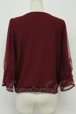 画像2: axes femme / コスモス刺繍ボリューム袖プルオーバー  ボルドー T-26-08-31-019-AX-TO-SA-ZT (2)