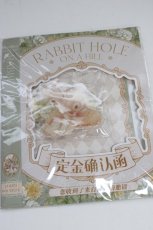 画像1: RABBIT HOLE / うさぎさんクリップ  ブラウン T-26-09-12-026-LO-AC-SA-ZT (1)