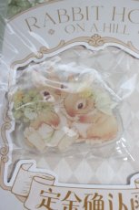 画像2: RABBIT HOLE / うさぎさんクリップ  ブラウン T-26-09-12-026-LO-AC-SA-ZT (2)