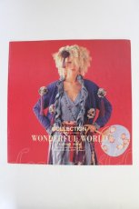 画像1: WONDERFUL WORLD / カタログ   T-26-09-18-017-LO-ZA-SA-ZT (1)