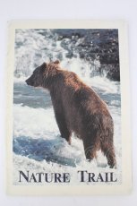 画像1: PINK HOUSE / カタログ   T-26-10-02-015-LO-ZA-SA-ZT (1)