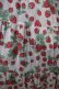 画像4: Jane Marple /Strawberry gardenティアードドレス M オフホワイト Y-24-03-22-104-JM-OP-SZ-ZY (4)