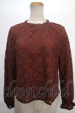 画像1: 【SALE】an another angelus / チュールレースプルオーバーブラウス F ブラウン Y-24-05-10-066-CA-TO-SZ-ZT099 (1)