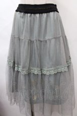 画像1: axes femme POETIQUE / フェアリー刺繍チュールスカート  グレー Y-24-07-01-175-AX-SK-AS-ZH (1)