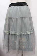 画像2: axes femme POETIQUE / フェアリー刺繍チュールスカート  グレー Y-24-07-01-175-AX-SK-AS-ZH (2)