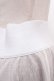 画像3: Rozen Kavalier / 総レーススカート  白 Y-24-07-15-205-OO-SK-SZ-ZT066 (3)