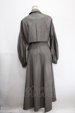 画像2: Melt the lady / チェーンレザーライクロングコート F グレー Y-25-01-10-172-PU-CO-SZ-ZT-C034