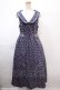 画像1: axes femme POETIQUE / 小花柄ロングワンピース M ブルー Y-25-01-22-133-AX-OP-SZ-ZT278 (1)